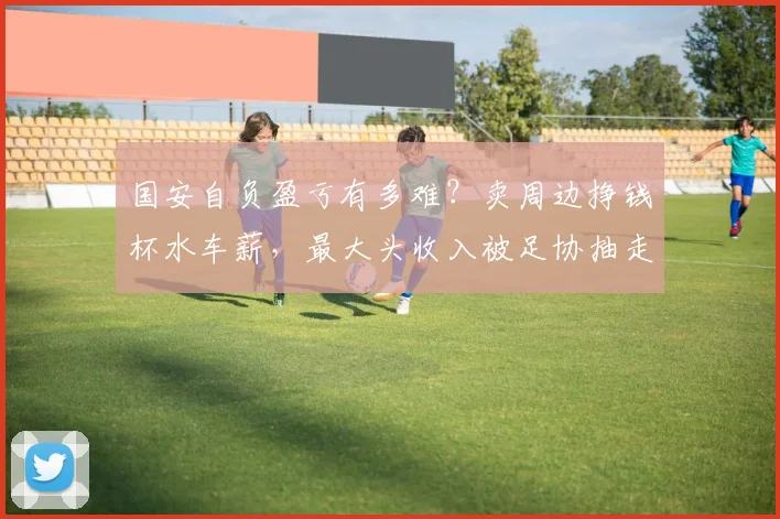 国安自负盈亏有多难?卖周边挣钱杯水车薪,最大头收入被足协抽走
