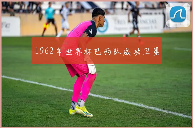 1962年世界杯巴西队成功卫冕