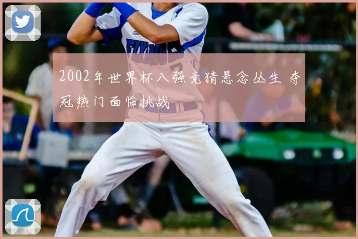 2002年世界杯八强竞猜悬念丛生 夺冠热门面临挑战